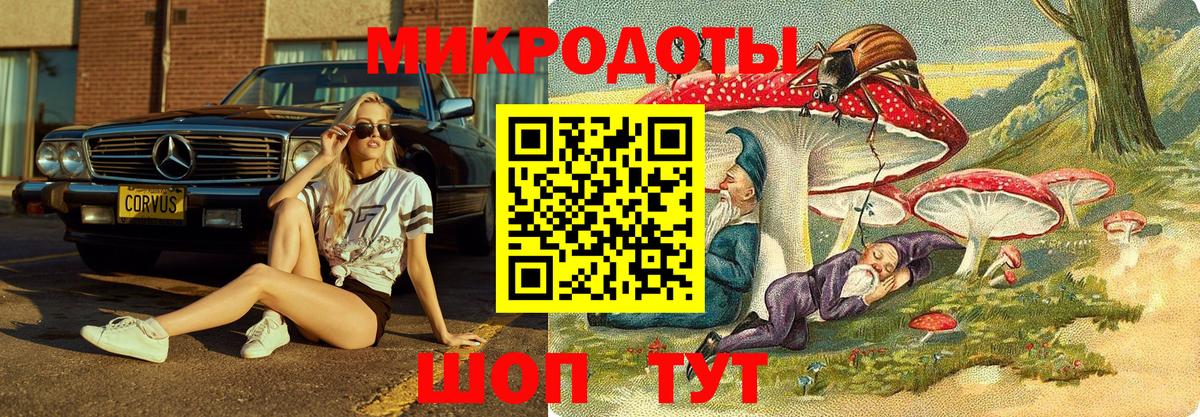 Галлюциногенные грибы Psilocybine cubensis  Галлюциногенные грибы MAGIC MUSHROOMS  Вход с VPN  Улан-Удэ 