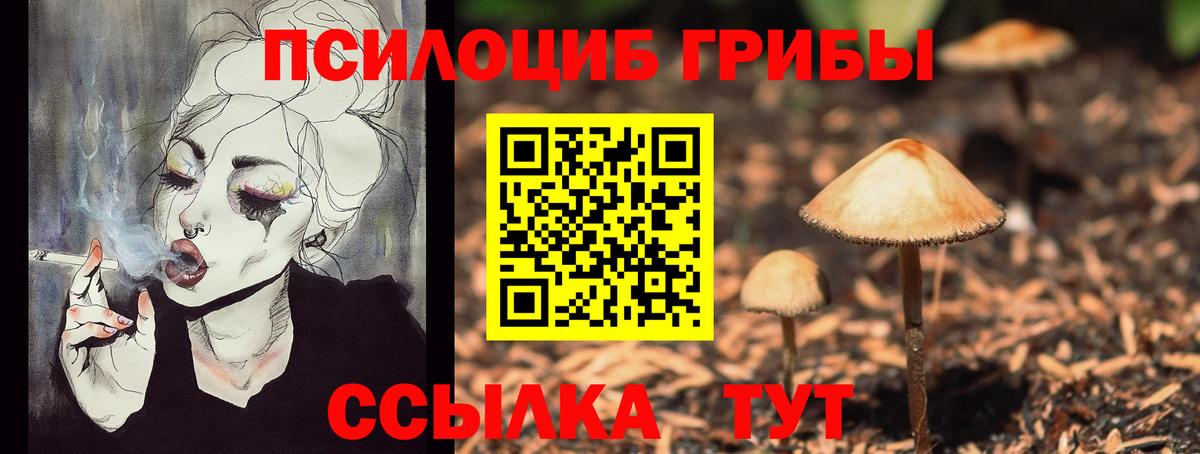 Псилоцибиновые грибы прущие грибы Улан-Удэ